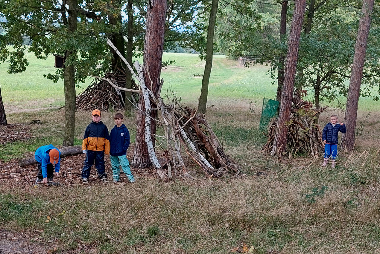wald 02