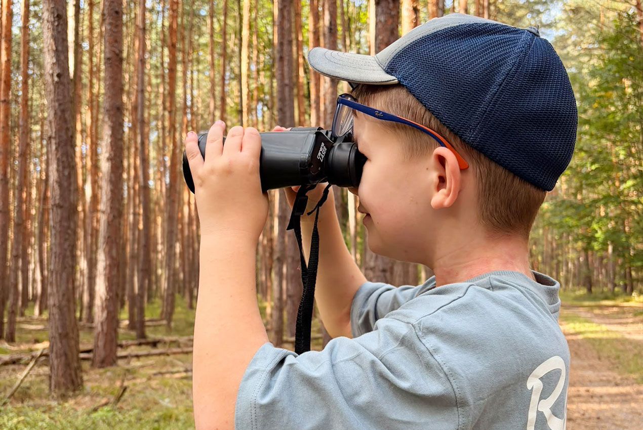 Abenteuer Wald